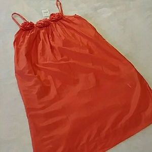 NWT J. Crew "Crew Cuts" Dress